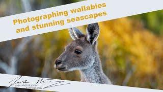 Wildlife and Landscape Photography in Cape Arid National Park