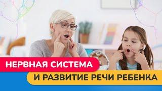 Как НЕРВНАЯ СИСТЕМА влияет на развитие РЕЧИ РЕБЕНКА? // #нейроспектр