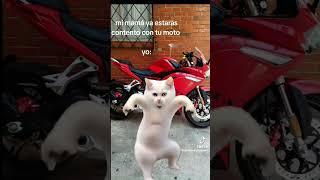 yo