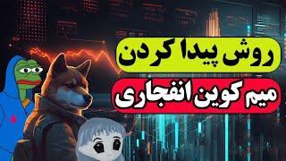 میم کوین : پیدا کردن میم کوین با قابلیت رشد 2000 هزار درصدی