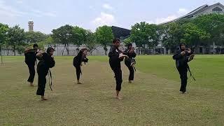 Gerakan Dasar Pencak Silat || Tugas Kelompok || PJKR II A 2021