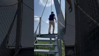 On the amazing top of the 35 meter high Schönbuchturm near Herrenberg Germany 2023 #shorts #germany