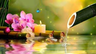 Relaxing Piano Music & Water Sounds  Ideal for Stress Relief and Healing