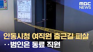 안동시청 여직원 출근길 피살‥범인은 동료 직원 (2022.07.05/뉴스데스크/MBC)