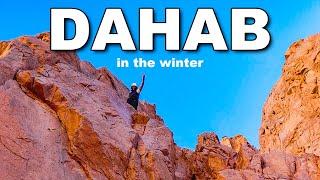 The BEST of Dahab