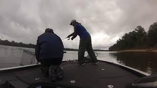 TN River Fall Smallies