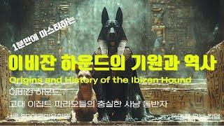 a faithful hunting companion of ancient Egyptian pharaohs.  origin and history of the Ibizan Hound