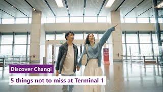 Discover Changi: 5 things not to miss at Changi Airport Terminal 1