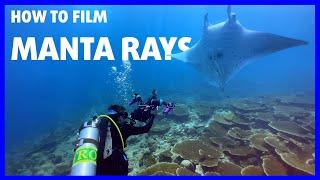 How to film MANTA RAYS underwater ⎮Quick Tip #6