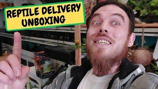 Reptile Delivery Unboxing !!!! (Snake Island Exotics)