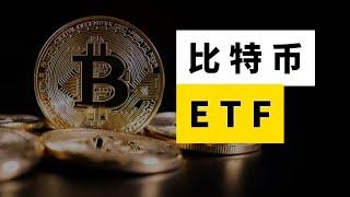 Comparison and analysis of 11 Bitcoin spot ETFs.