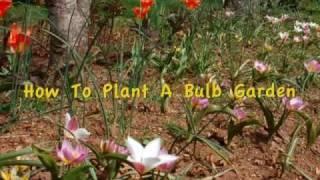 How To Plant a Bulb Garden