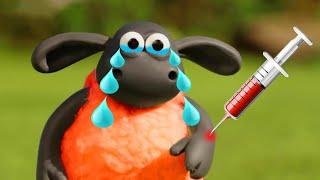 NEW Shaun the Sheep | BEST FUNNY PLAYLIST (PART 1 ) | فيلم كرتون الخروف الشهير شون ذا شيب