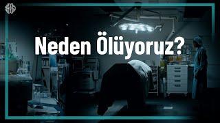 Ölümün Amacı Ne?