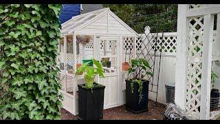 Cottage Style Greenhouse Tour & Future Courtyard Plans, Aviary and Chicken Yard/ PlantTastic