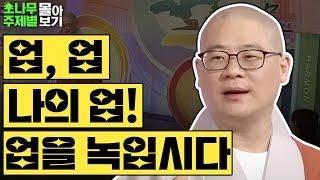 업 업 나의 업! 업을 녹입시다🪷  [광우스님 소나무 주제별 몰아보기]