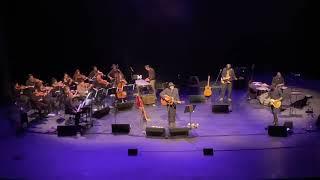 Tindersticks - Tiny Tears (Live in "Megaron - The Athens Concert Hall")