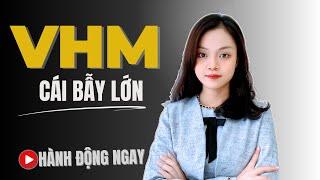 Phân tích VHM: Cổ phiếu tiềm năng hay rủi ro chực chờ?