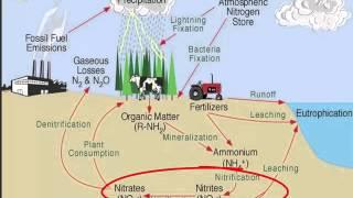 eOrganic Dairy Course: On the Ground. Module 2. Building Better Soils: Nitrogen Cycle