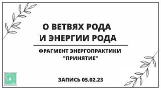 Ветки рода и энергия рода.Фрагмент практики "Принятие" 05.02.2023. Абсолютный ченнелинг.Вопрос-ответ