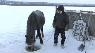 Surviving Siberia: The Hard, Cold Winters Of Yakutia