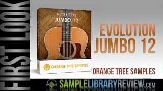 Quick Look: Evolution Jumbo12 by Orange Tree Samples