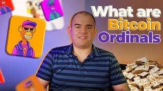 Bitcoin Nfts Ordinals Explained : What are they & Who Builds It | Michael Saylor