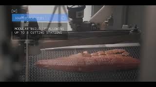 Marelec Waterjet Portion Cutter for Fish Processors