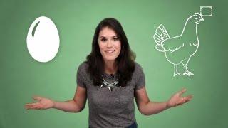 How Does A Chicken's Egg Get Its Shell?