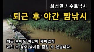 [화성]_ 퇴근후 야간 짬낚시 / 즐거운 생활 낚시 / 화성권 수로