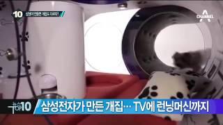 삼성이 만들면 ‘개집’도 다르다? 가격이 무려…_채널A_뉴스TOP10