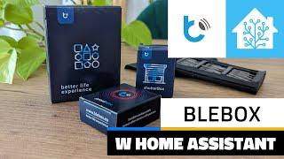 Urządzenia BleBox - poznaj zalety, wady, instalację i integrację z Home Assistant!