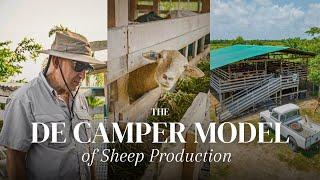 Modern Sheep Farming in Guyana | THE DE CAMPER MODEL