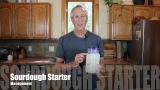 Sourdough Starter Management