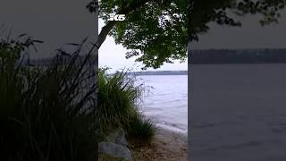 Neighborhood group sues Seattle over "illegal activities" at beach