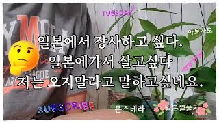 【일본썰풀기 】일본에서 살고싶다.일본에서 장사하고싶다.저는 반대입니다