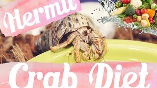 Hermit Crab Diet: What I Feed My Crabs Daily  Lori’s Hartland