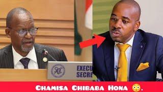 SADC Summit Proved Chamisa Is The Legitimate Zim Leader 