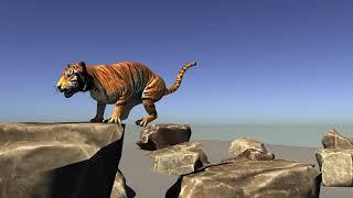 3D TIGER JUMP ANIMATION BY OMER ARSLAN