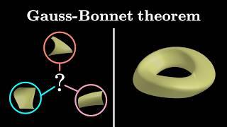 The most important theorem in differential geometry: Gauss-Bonnet theorem