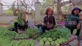 Aid Action | Climate Resilient Sustainable Agriculture