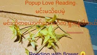 Collective Love  flower Popup Reading️‍️‍️‍မင်းမသိပေမဲ့မင်းကိုလူတစ်ယောက်ကရှာ​နေပါတယ်