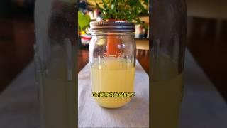 自制昂贵的EM菌液  DIY EM fertilizer