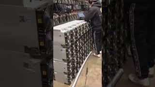Weekdays of Wattum #bitcoin #bitcoinmining #Wattum #miningbitcoin #s19 #crypto