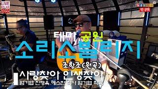 [소리소빌리지] 사랑찾아 인생찾아(조항조) / 노래 엄태산 COVER