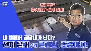 레이 실내 디테일링 세차 | 곰팡이 실내 클리닝