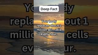 Deep Fact - Your body replaces about 1 million skin cells every hour...#shorts #shortsviral