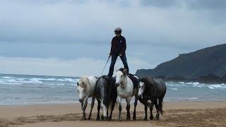 Connemara Liberty Team Training