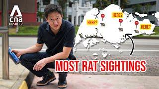 Talking Point Is On A Rat Hunt And We Need Your Help!