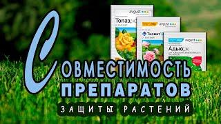 Совместимость препаратов для защиты растений. Рецепты баковых смесей от вредителей и болезней.